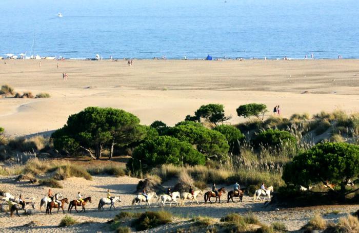 Mauguio, une localité tranquille indiquée pour la villégiature